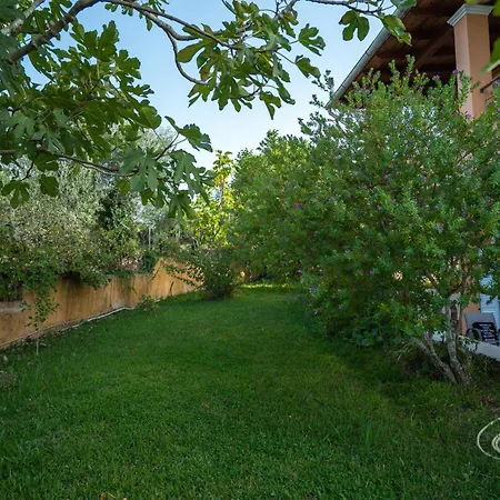Pasiphae Holiday Apartments * Kontokali